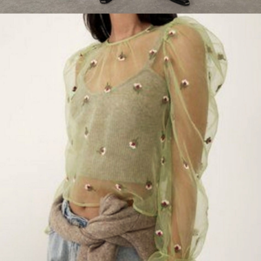 Zara Embroidered Organza Top with Puff Sleeves.